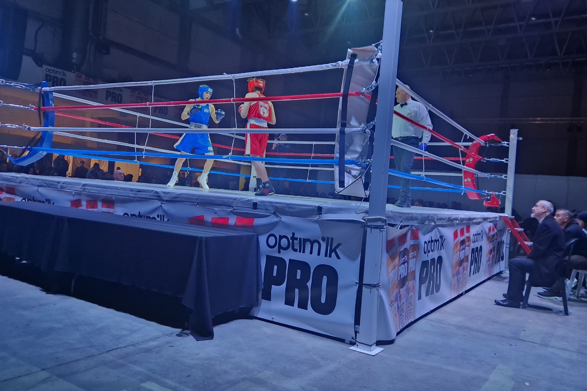 的重要因素 的重要因素