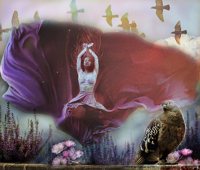 布歇在猛龙 布歇在猛龙