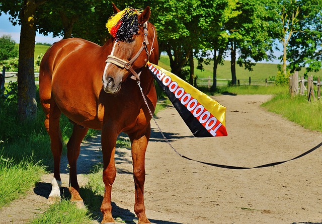 这一需求 这一需求